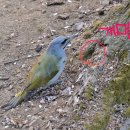 방아다리근린공원 이미지