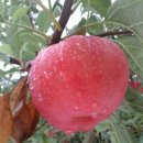 감곡면사무소 이미지