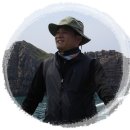 석양 속 생명의 날 이미지