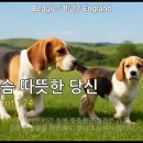 아직 가슴 따뜻한 당신 Trap EDM Trot 124 이미지