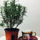 유살롱(You 살롱)