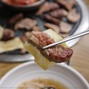 수돈 이미지
