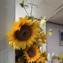 해바라기참치회 이미지