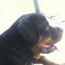 할리농장 이미지