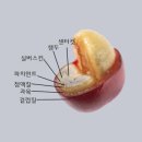 킨커피 이미지