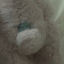 테디테일즈 정품 레나베어 레나버니M 오늘은 체리쥬빌레맛 버니 소개해 볼게요 ★~(◠‿◕✿)