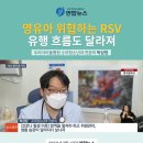 💡연합뉴스TV_영유아 위협하는 RSV 유행 흐름도 달라져 이미지