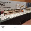 렙타일코리아 이미지