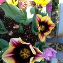 논현정보도서관 이미지