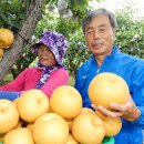 박대성농장 이미지