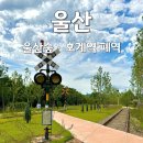 호계역 | 울산북구갈만한곳 울산숲 호계역 폐역 기찻길 포토존