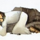 우리현대의원 이미지