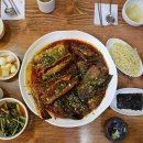 황금코다리 이미지