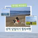 DMZ생태관광지원센터 앞 잔디마당 | 삼척 두돌 아기랑 당일치기 2026 혜택받GO! 강원도 여행지원금 환급 가능 코스