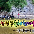 개미들농촌체험마을 이미지