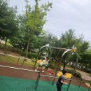 경희대 운남태권도 이미지