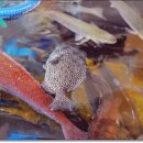 창녕상회 이미지