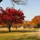 김인수공인중개사사무소 이미지