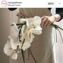 [웨딩촬영]양재꽃시장 셀프 부케, 센터피스 제작 후기(꽃 종류, 가격 무료 공유)