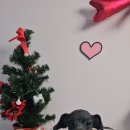 라이크어독 이미지