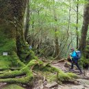 초록세상 이미지