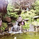 파란하늘공인중개사사무소 | ☀️ [동탄 솔빛마을] 아침을 여는 햇살, 푸른 단지와 솔빛공원의 완벽한 조화 😊