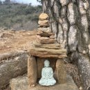 충무칼국수 보쌈 이미지