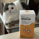 펫리즈 이미지