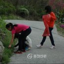 성대초등학교 이미지