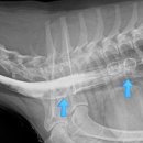 조영메디칼 이미지