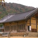 태봉청과