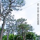 고양누리길 12코스 고양동누리길 이미지