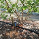 (주)야생 이미지