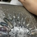 네일볼라 | [공덕] 공덕드네일 웨딩네일 후기 #내돈내산 #웨딩네일