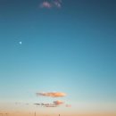 자연의 소리 이미지