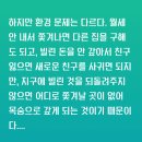 타일러 라쉬 - 두번째 지구는 없다 이미지