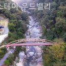힐링스테이 우드밸리 네이버블로그