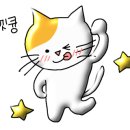 서진헤어 이미지