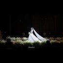 무드(MOOD)호텔 | [공지] 가성비 본식 서브스냅 무드잇 Mood.it 계약 후기 짝꿍코드O