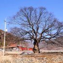 남산리