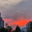 새벽노을 이미지