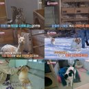 송치농장 이미지