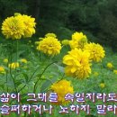 사전연명의료결정제도 이미지