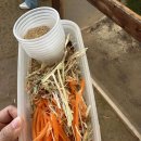 함께하는 농장 | 파주 나눔 농장 - 아이와 함께하는 동물 체험 실내 동물 농장 방문 후기