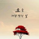 까치밥과 콩 세알의 교훈 이미지