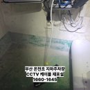 온천초등학교 이미지