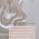 헤미쉬 이미지