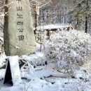 이호갤러리