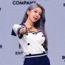 다미 이미지