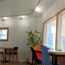 마라와나무 이미지